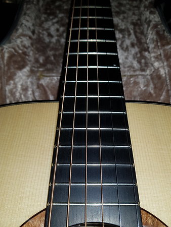 Home. Ebano fingerboard